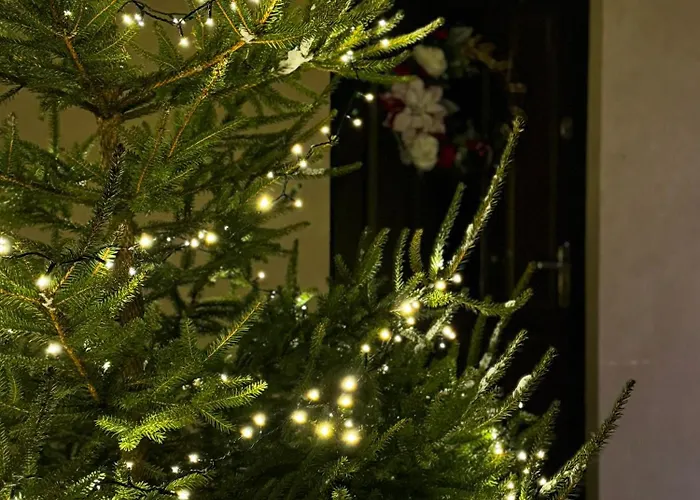 בקתה Przy Potoku מורזאסיחלה